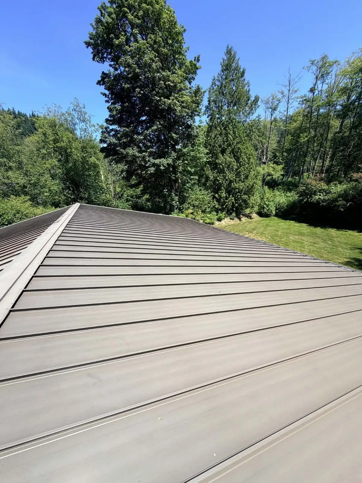 Standing-seam metal roof inspected and assessed before a low-pressure soft wash