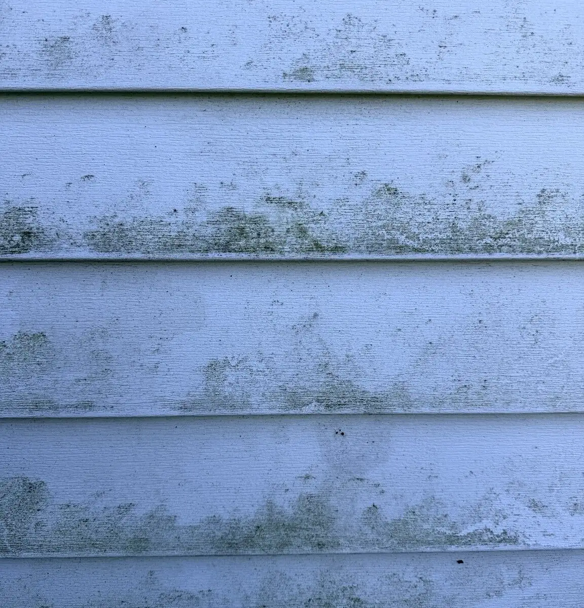 Close-up of heavy green and dark organic staining embedded on white siding