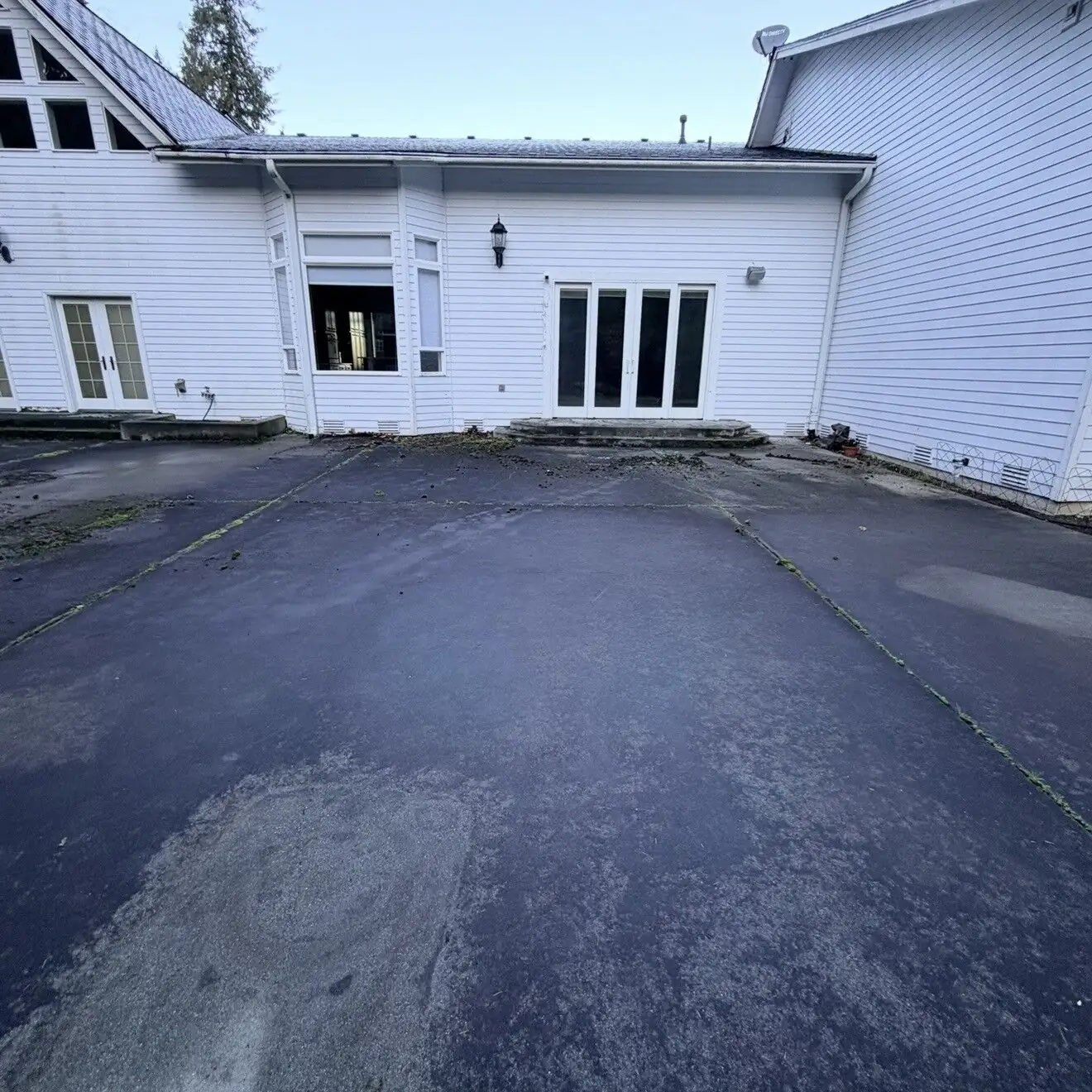 Concrete before cleaning, showing the extent of dark organic contamination