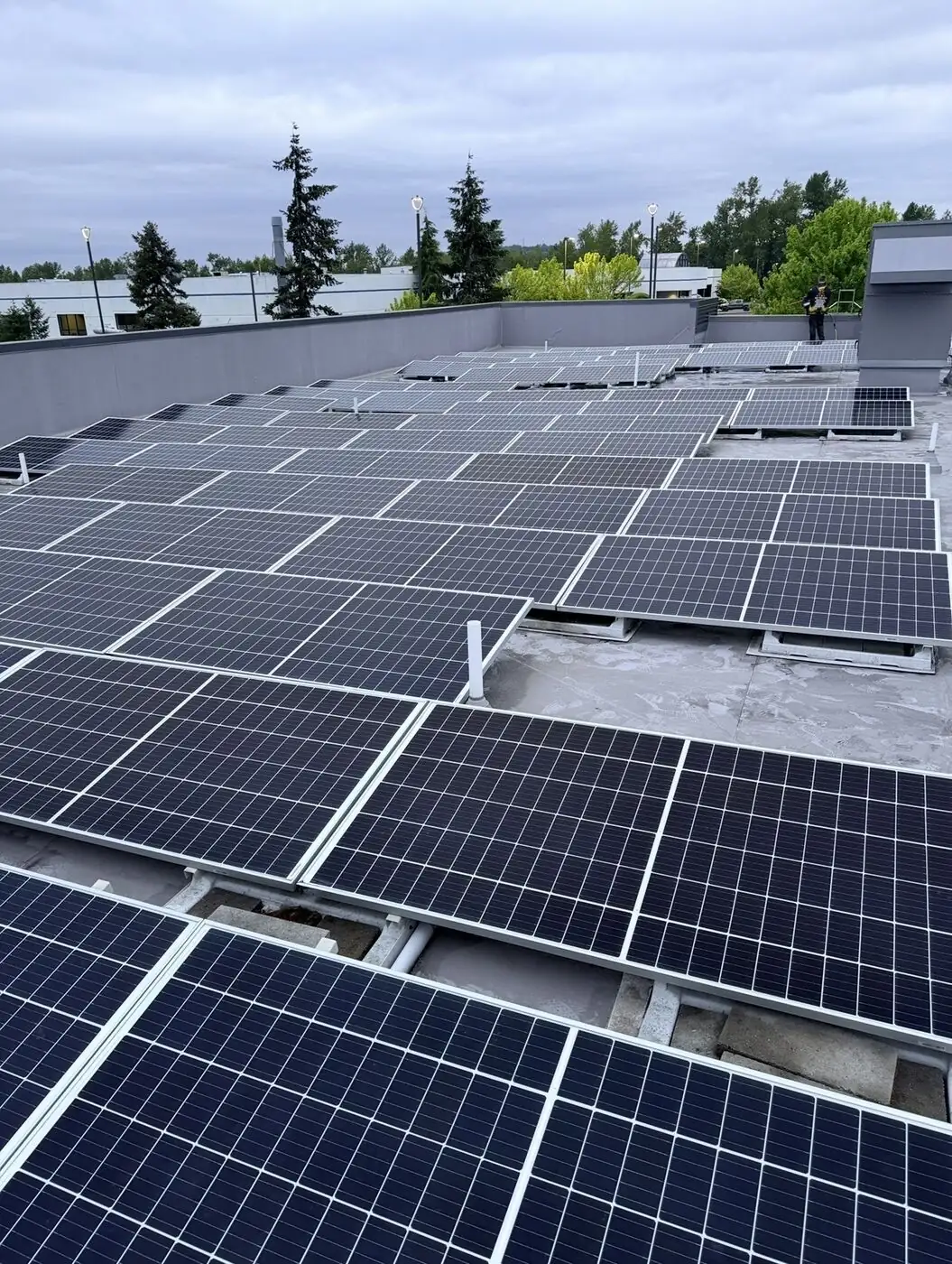 Wide view of the full 128-panel array after a pure-water cleaning