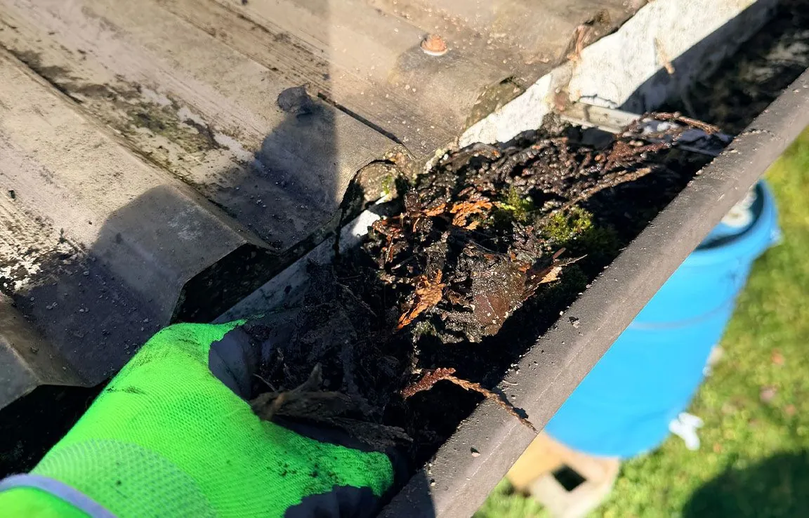 Gloved hand removing packed debris from a clogged gutter