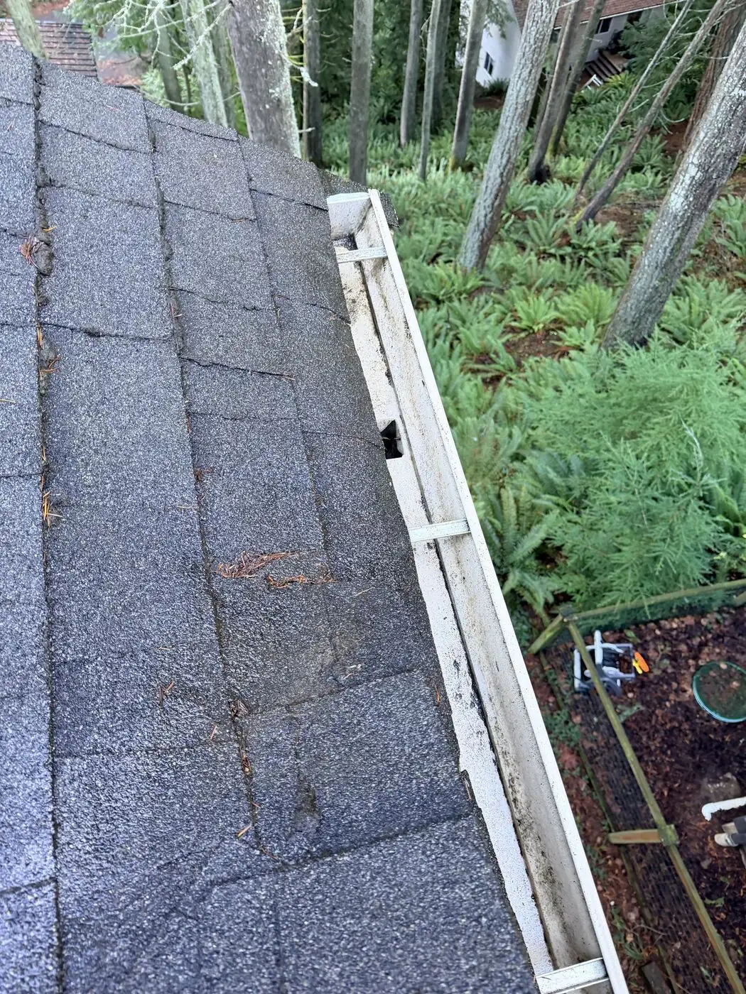 Gutter run clear of needles and debris with an open path toward the downspout