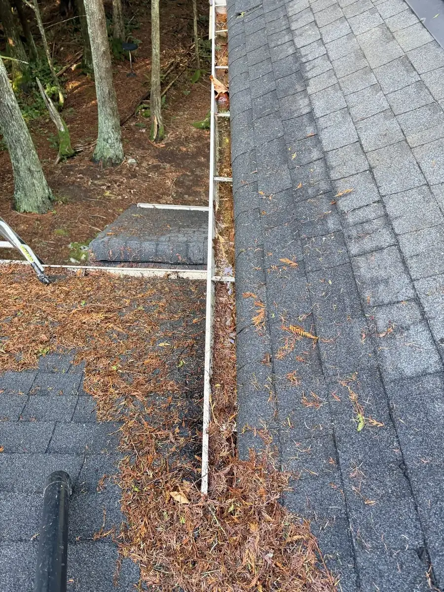 Ladder set against a roofline for gutter access during the cleaning