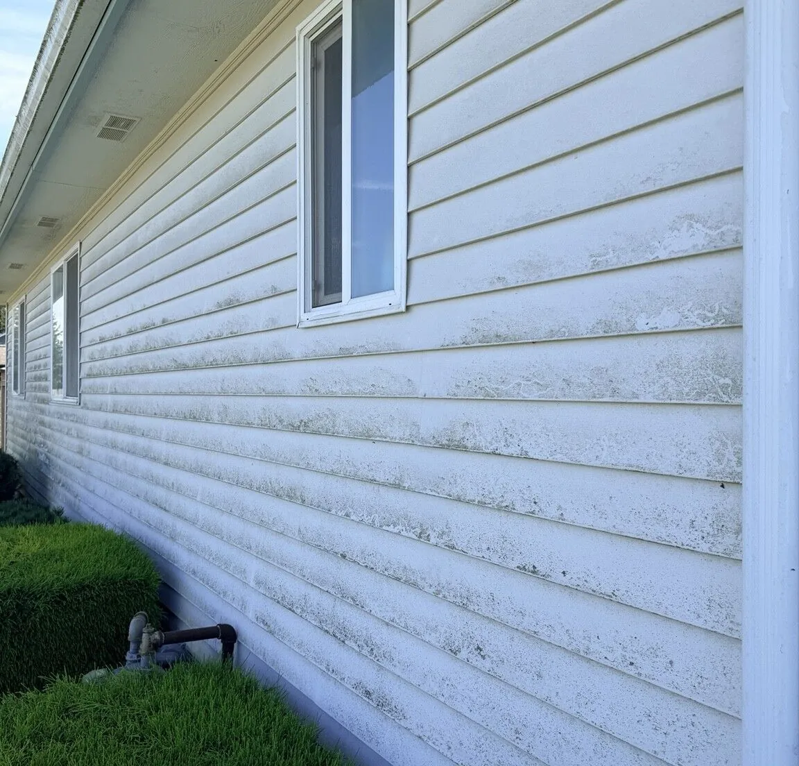 Long exterior wall of a home before washing, dulled by organic buildup
