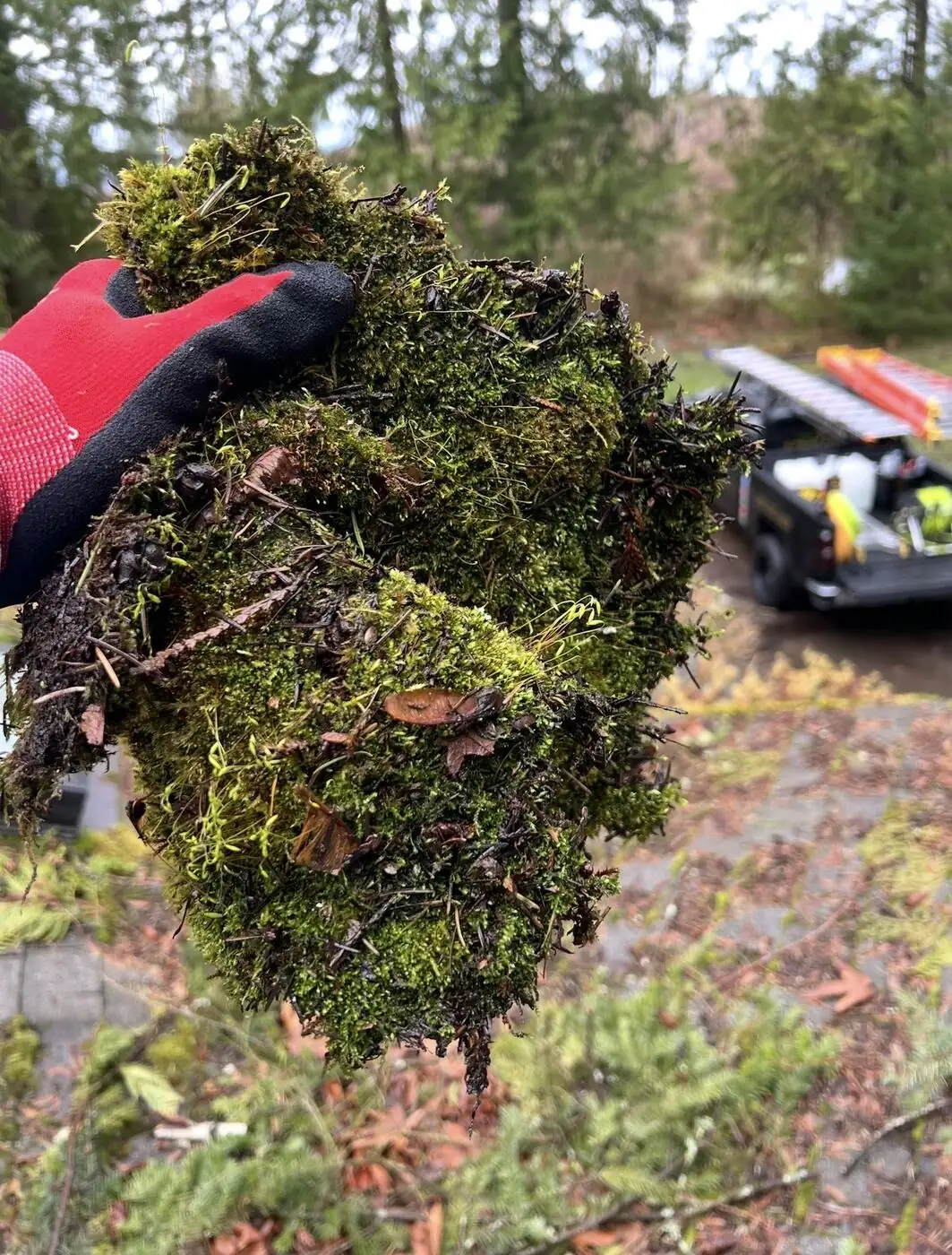 Gloved hand holding a thick clump of moss and organic debris lifted off a roof