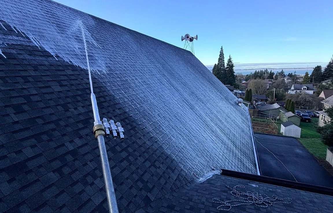 Long pole spraying water to remove moss from an asphalt shingle roof