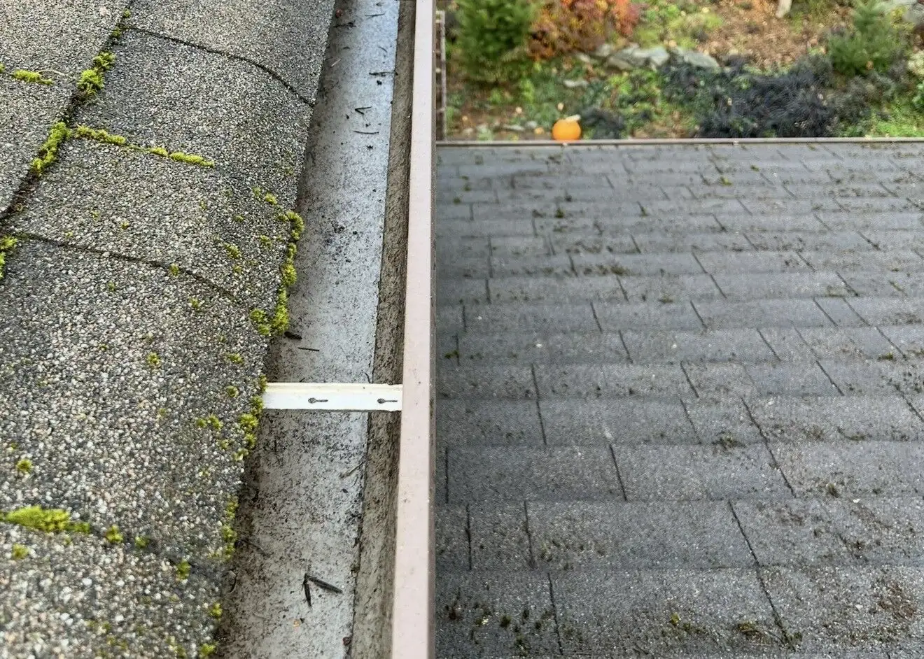 Roof edge and gutter cleared of debris, with the shingle surface exposed