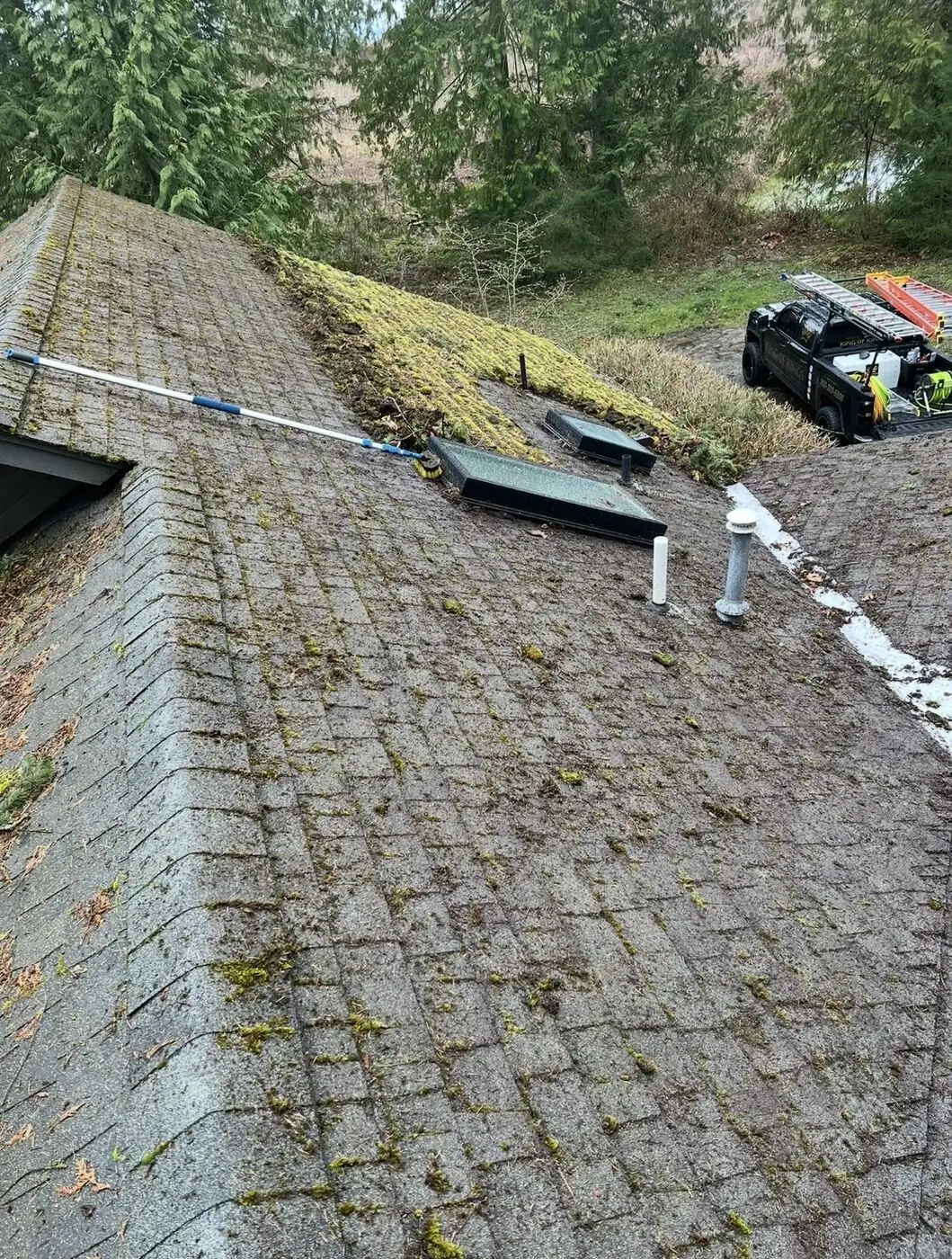 Roof partway through moss removal, cleared shingles on one side and growth remaining on the other