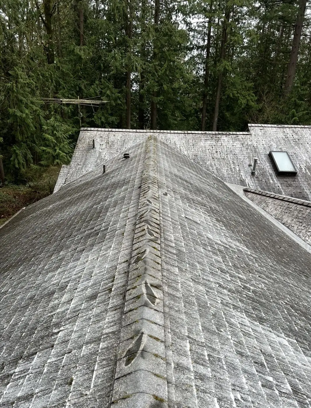 Roof ridge after the bulk moss and debris were removed, with the shingles visible again
