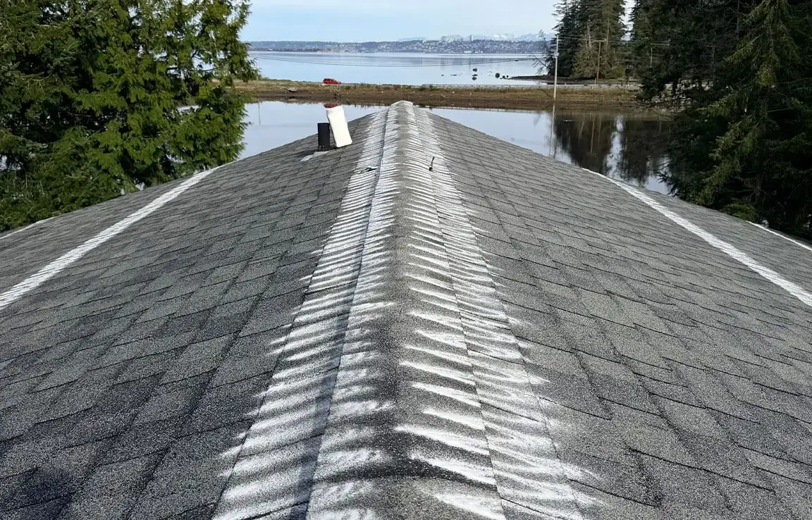 High-angle view along a shingle roof ridge with a vent pipe, water beyond
