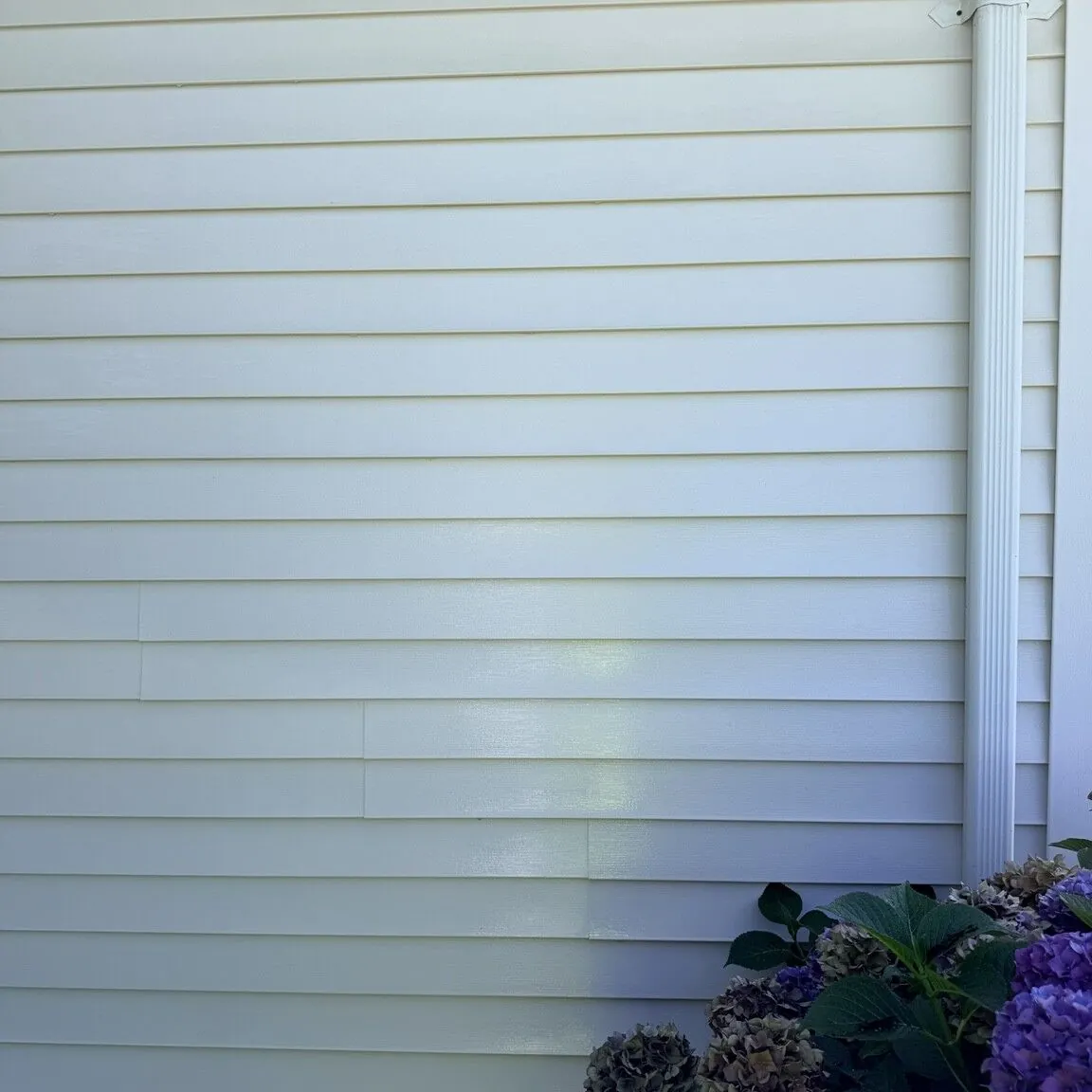 The same side wall after soft washing, the white siding clean and uniform