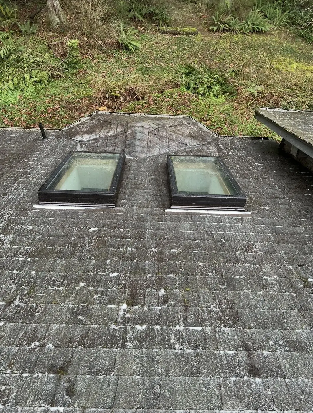 The same skylights after debris removal, fully exposed on a cleared roof