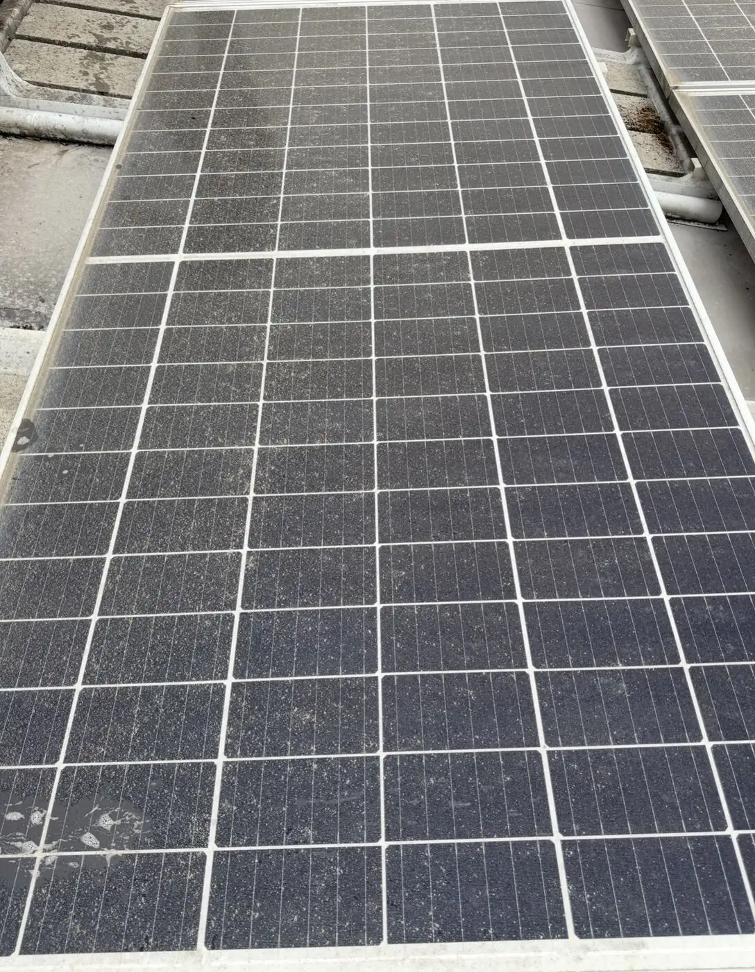 Close-up of a solar panel showing heavy dirt, pollen and bird droppings on the glass