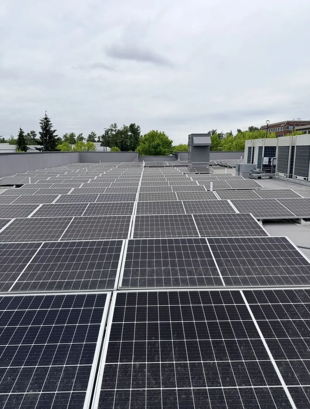 Solar panels after cleaning, with clear glass and no soap film or mineral residue