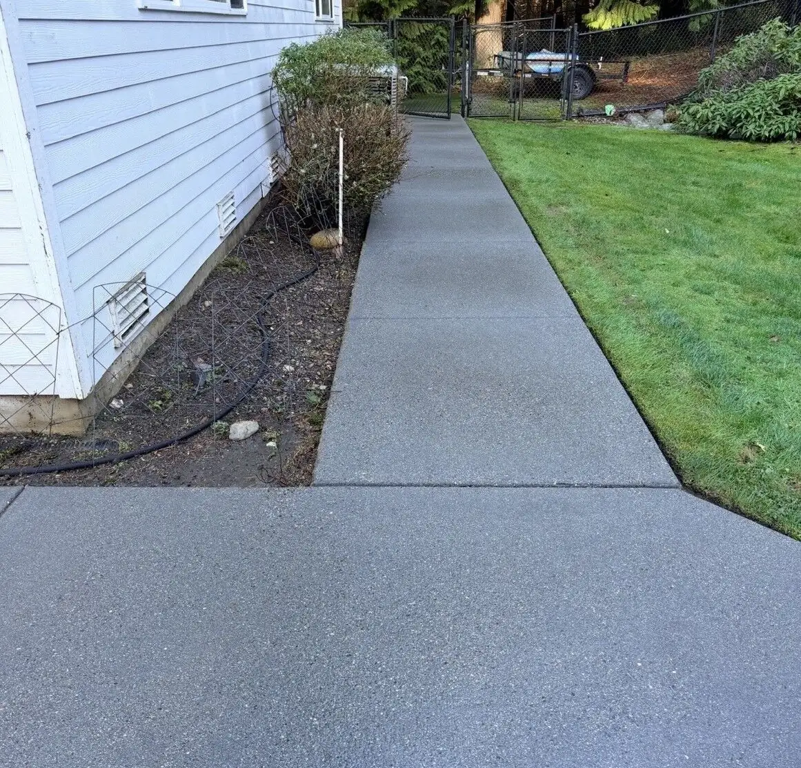 The concrete walkway after cleaning, organic growth and dark staining removed