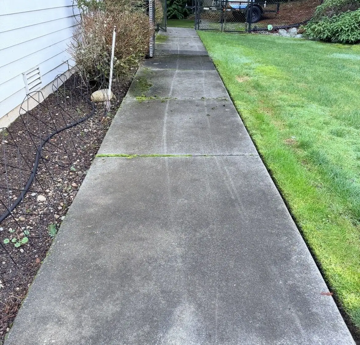 Concrete walkway showing the contrast between a cleaned section and darker untreated concrete