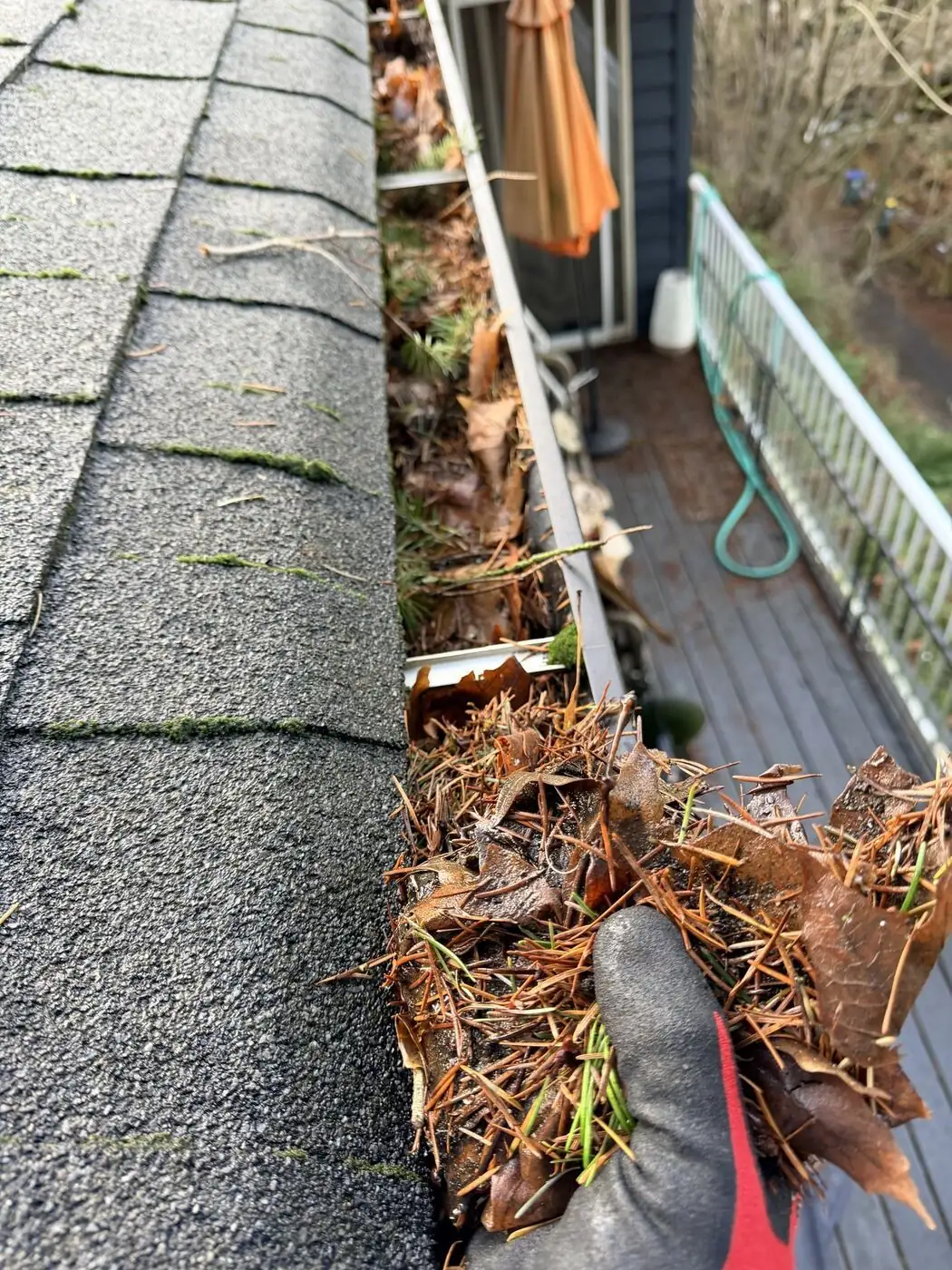 Handful of wet leaves and fir needles lifted out of a gutter above a deck