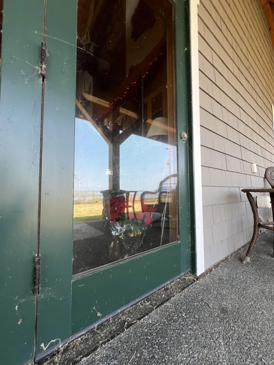 Green-framed glass door and sidelight before cleaning, webs and dirt along the frames